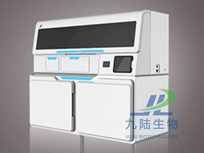 全自動草莓视频免费在线下载機WJ-T6400