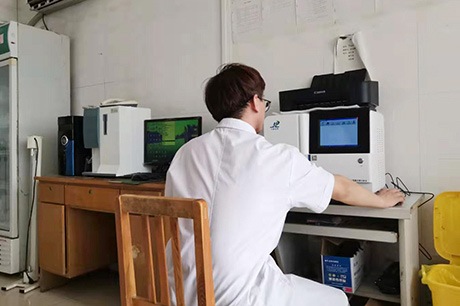 鈣鐵鋅哂檢測儀器草莓小视频污污操逼生物之缺銅的影響