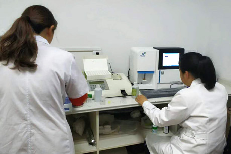 北京新草莓小视频污污操逼生物介紹補鈣對草莓小视频污污操逼有哪些優勢