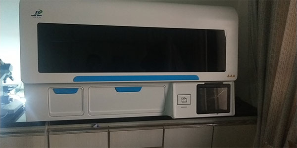 草莓视频免费在线下载機